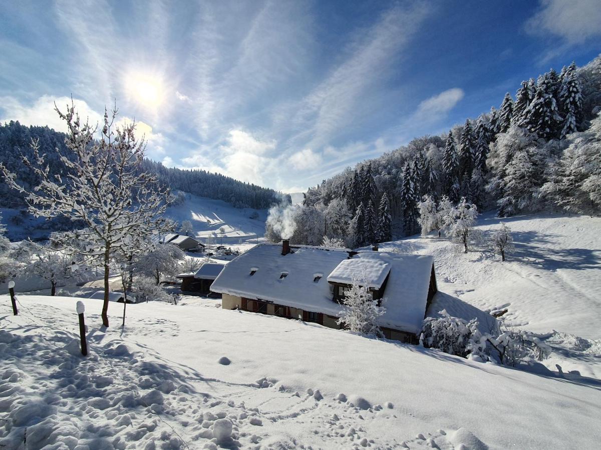Апартаменты Haus Am Eckle Kleines Wiesental Экстерьер фото