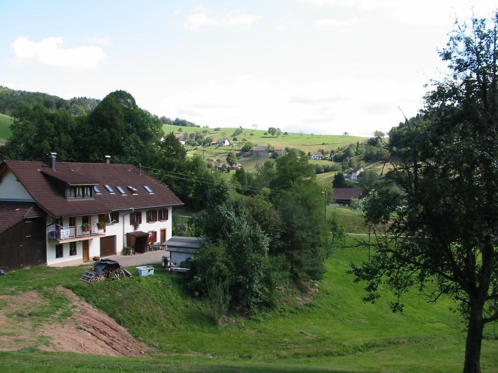 Апартаменты Haus Am Eckle Kleines Wiesental Экстерьер фото